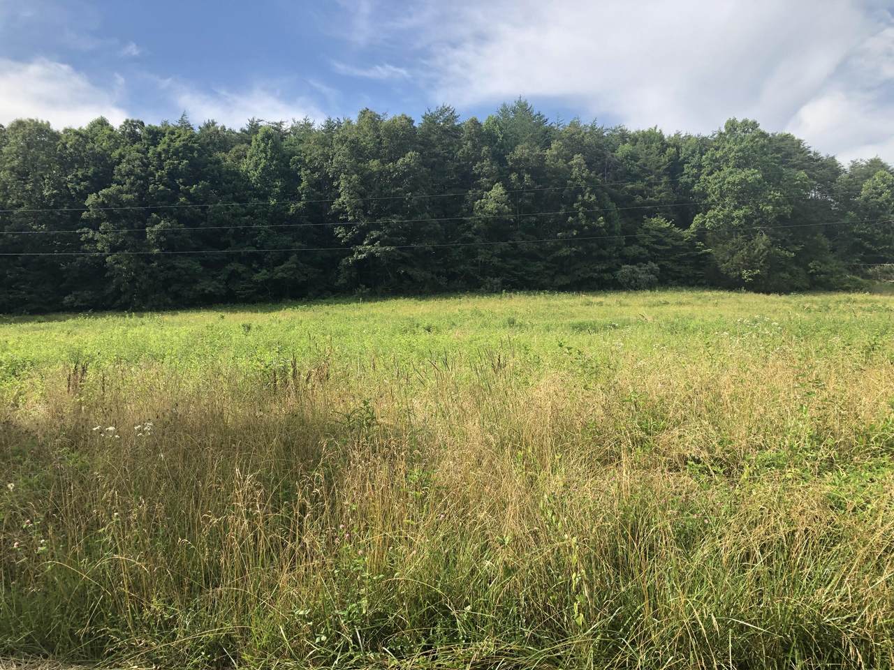0 Cave Branch Road - Photo 1