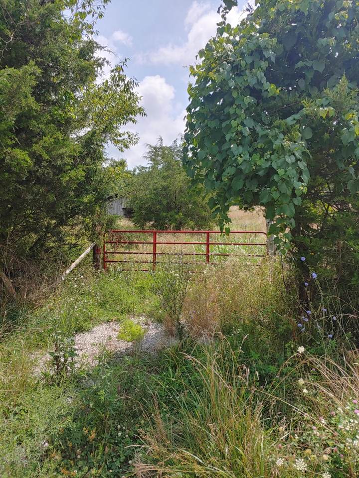9999 Cr-1288 Whippoorwill Lane - Photo 1