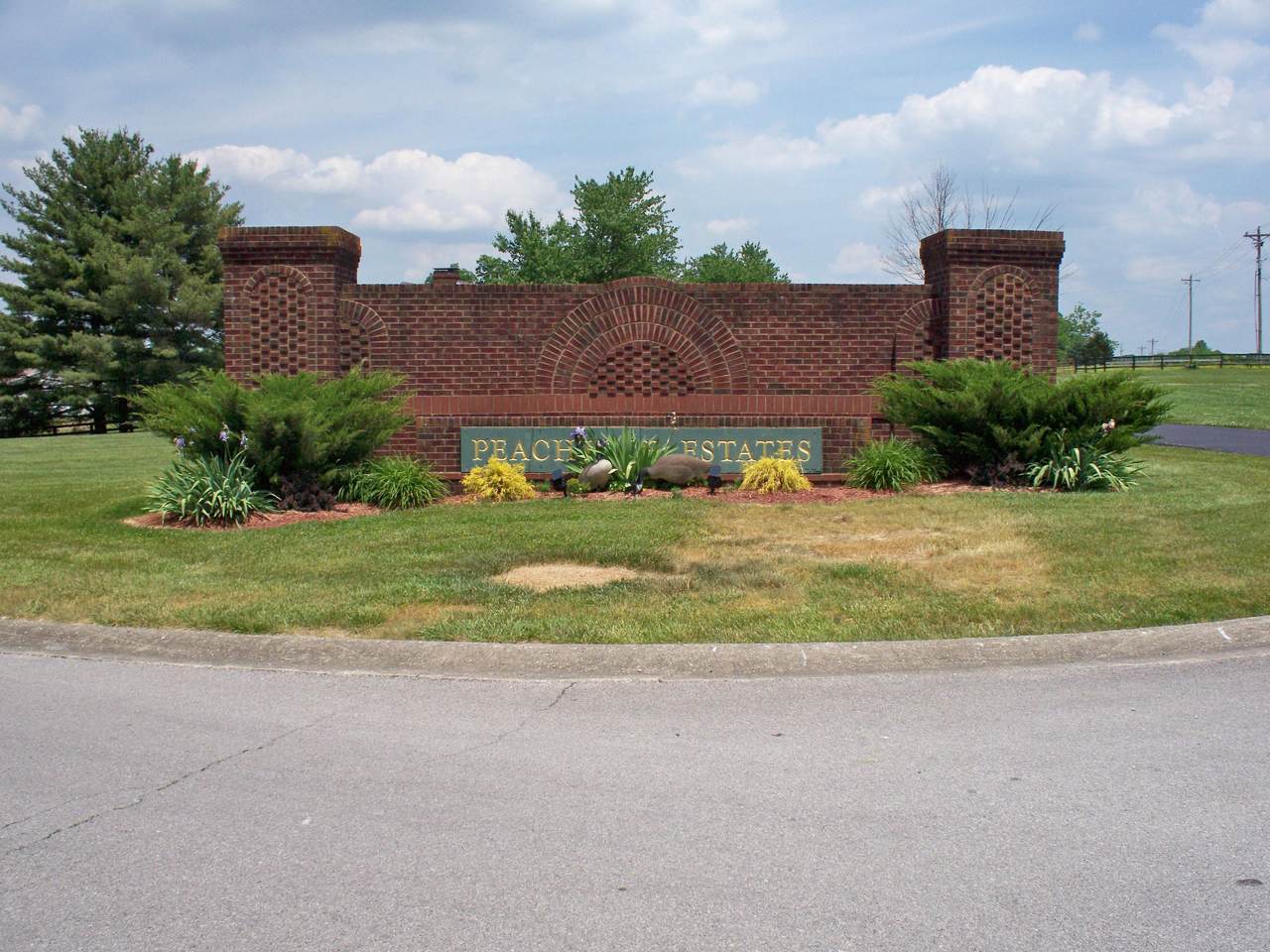 Lot 9 Freestone Way - Photo 1