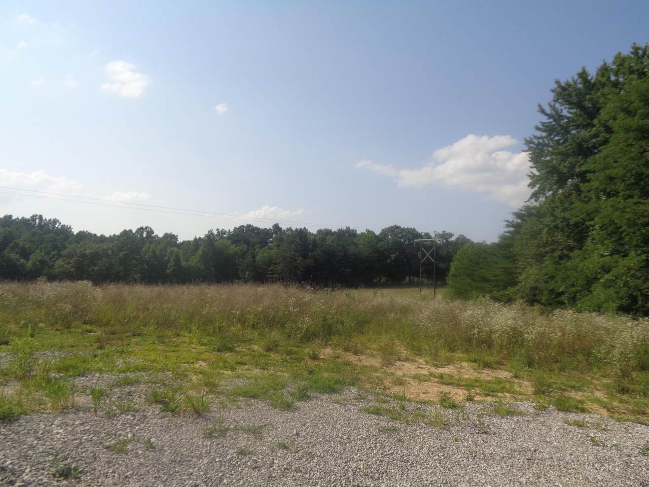 1468 County Farm Road - Photo 1