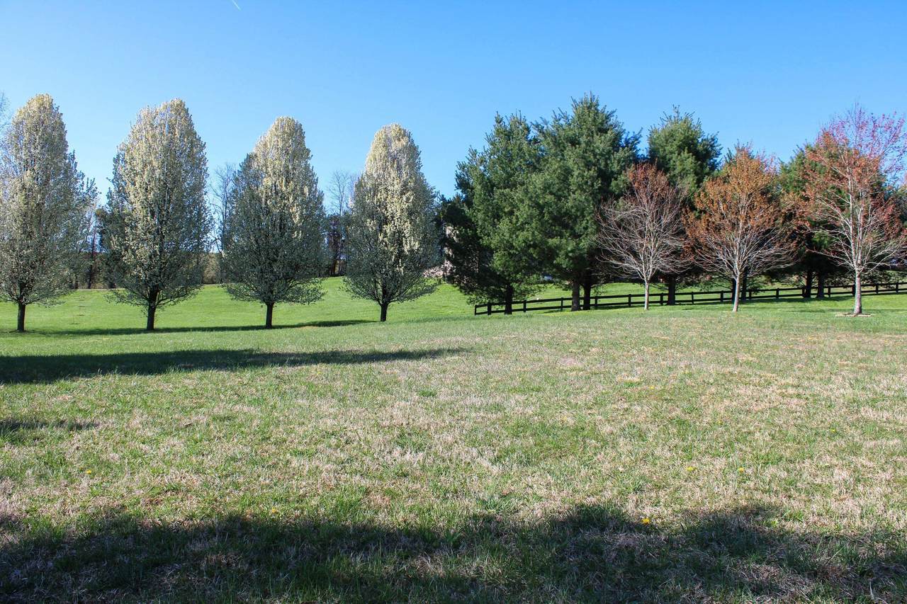 44 Evening Shade Drive - Photo 1