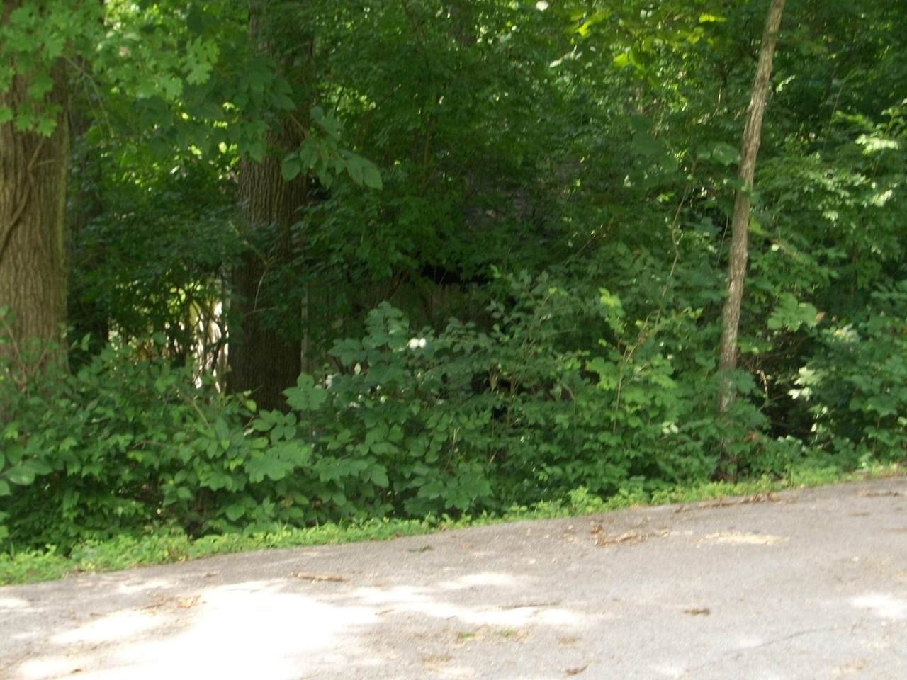 1 Lillards Ferry Road - Photo 1