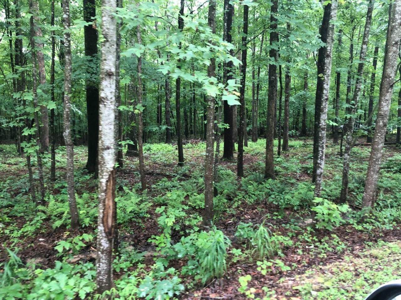 Lot 13 Promise Land Drive - Photo 1