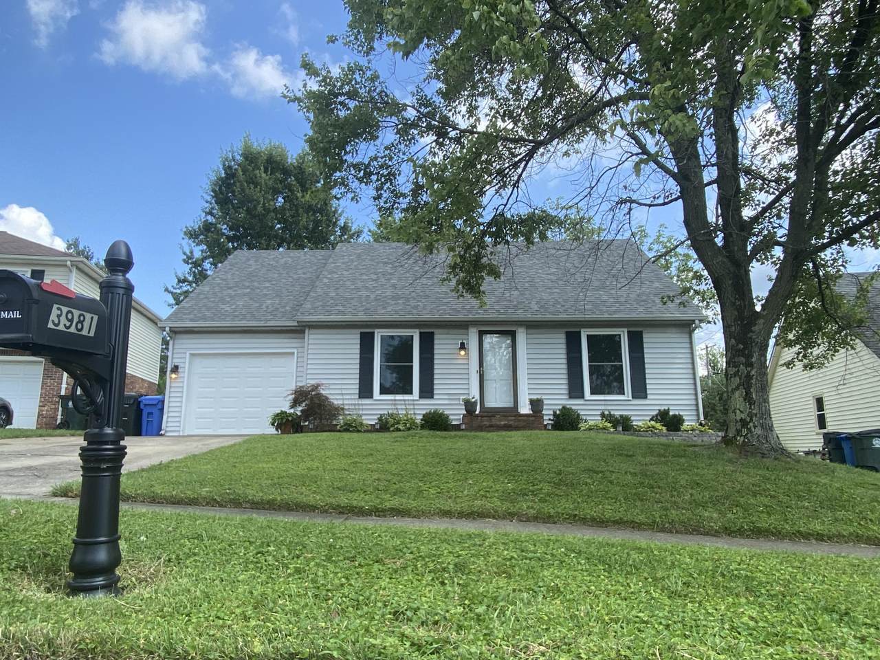 3981 Forest Green Drive - Photo 1