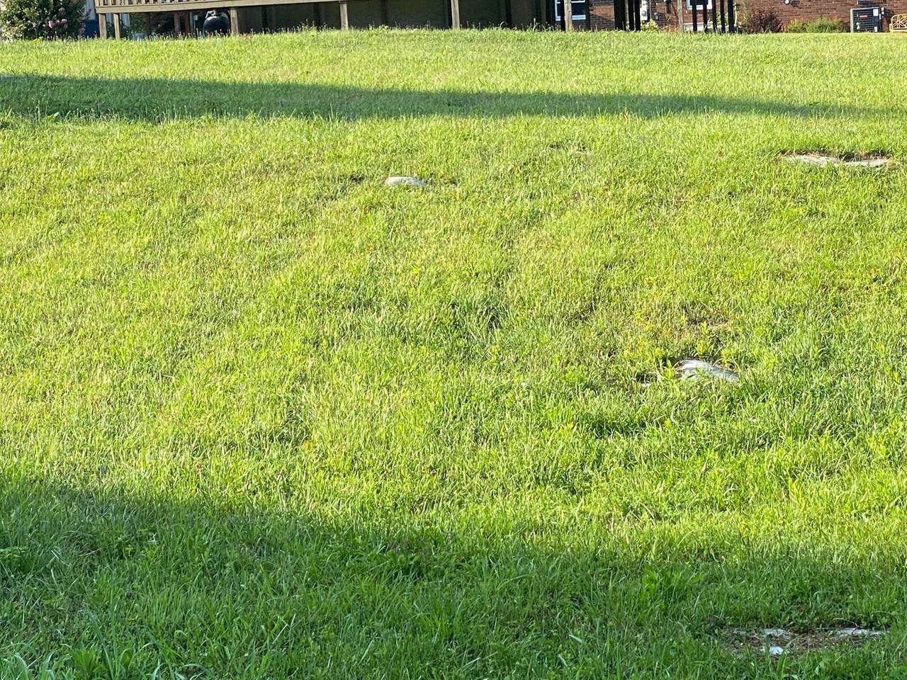 Lot 67 68 Cherry Lane - Photo 1