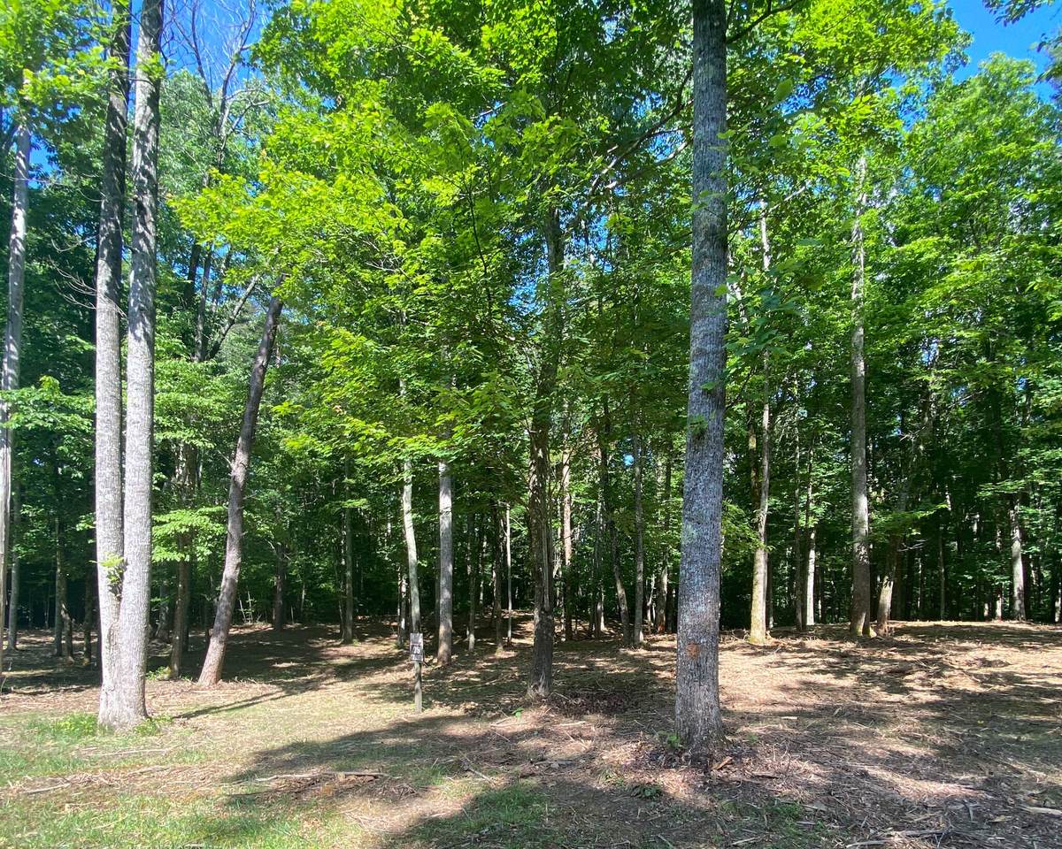 28 Briar Ridge Drive - Photo 1