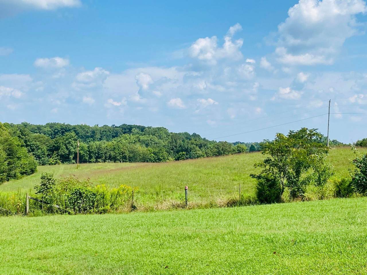 1314 Hwy 3277 - Photo 1