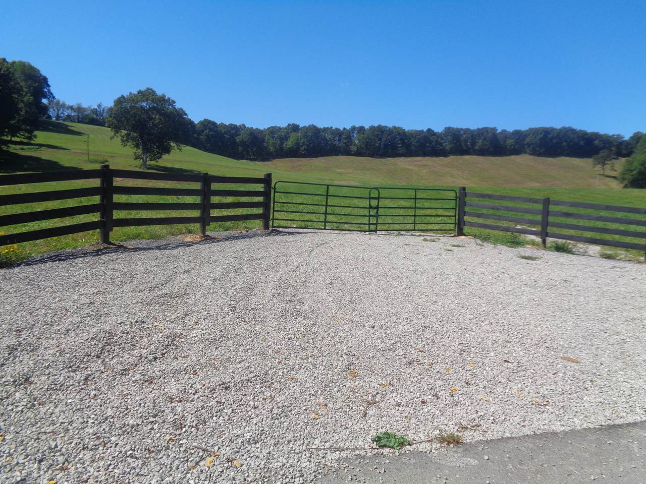 2601 Mt Zion Road - Photo 1
