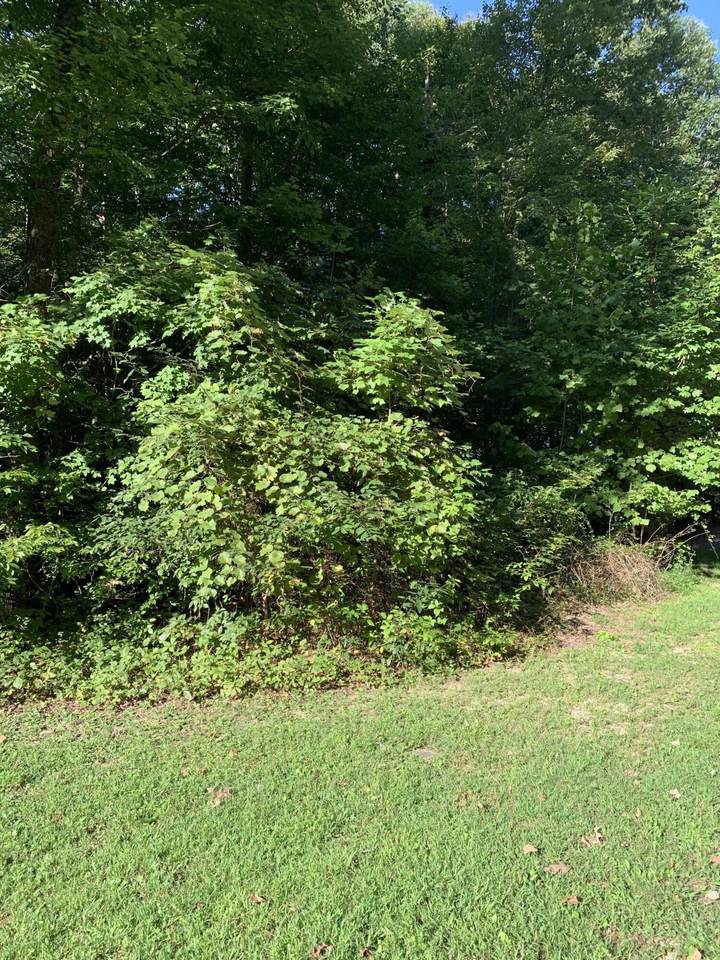 483 Harmony Lane - Photo 1