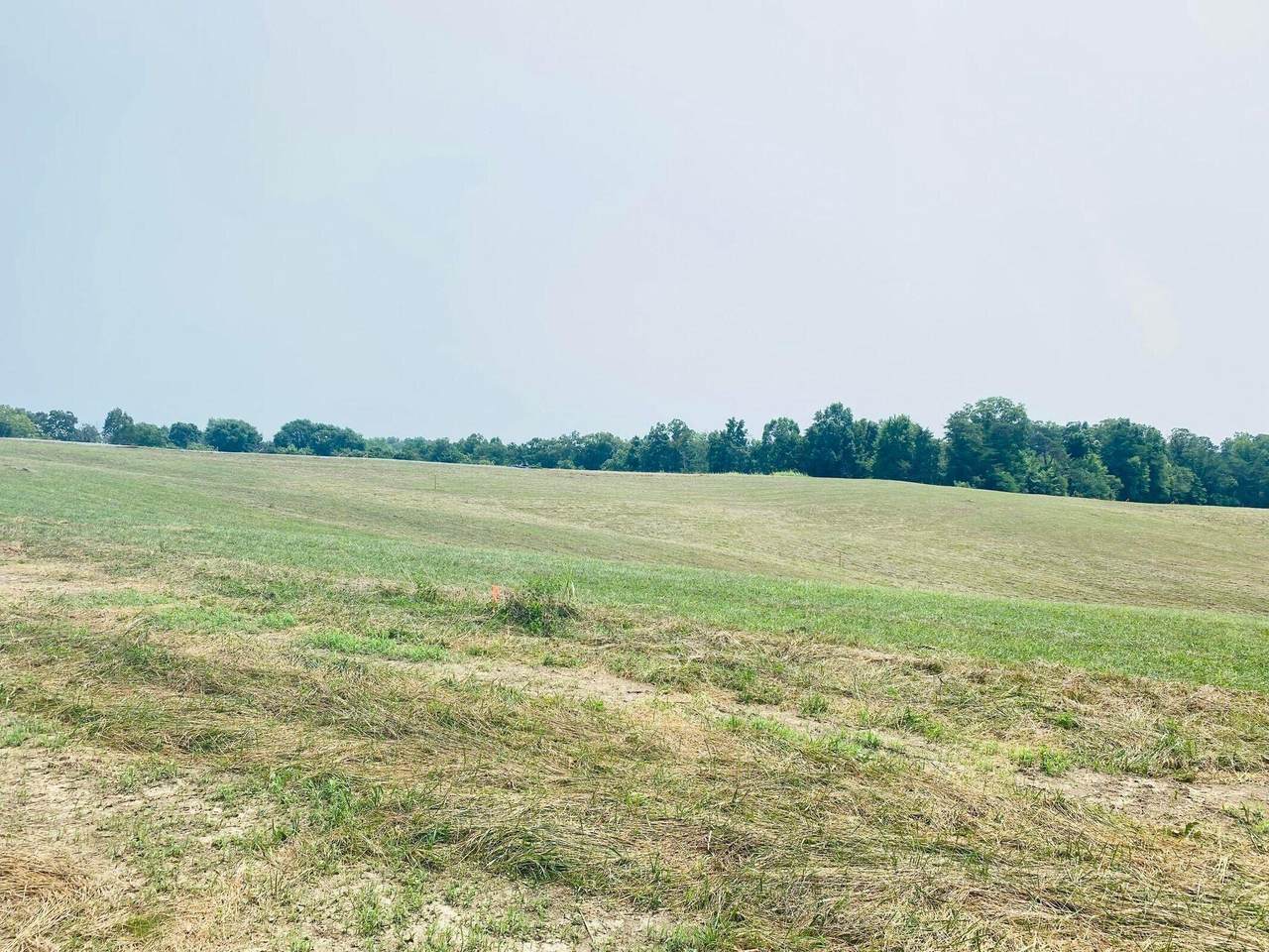 5 Spring Branch Hollow Rd - Photo 1