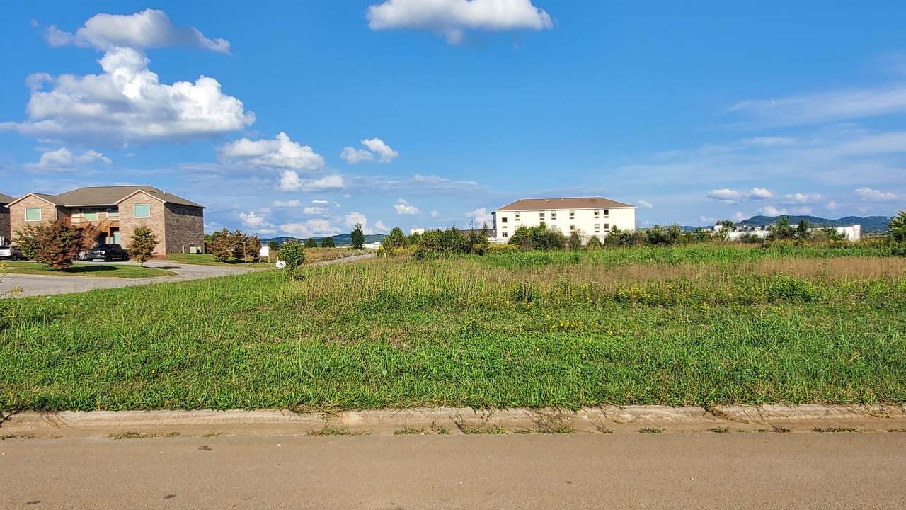 Lot 7 Parkers Mill Way - Photo 1