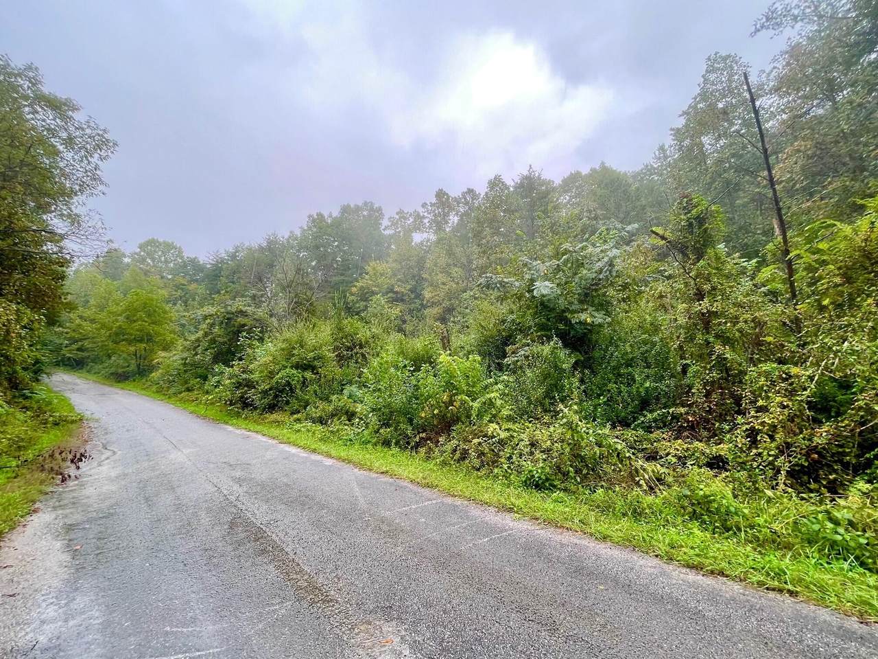 5995 Keno Road - Photo 1
