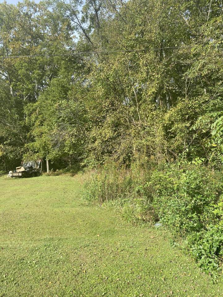650 Boone Creek Road - Photo 1