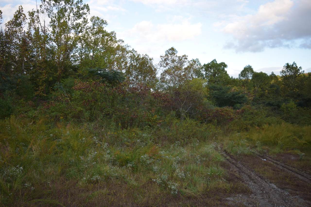 8700 119 Highway - Photo 1