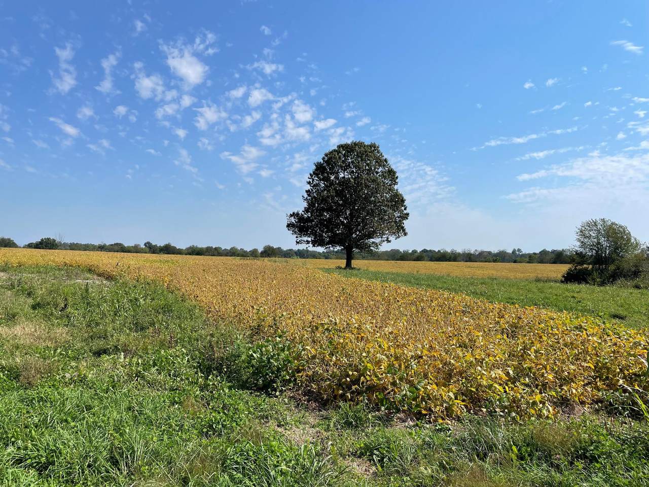 4274 Colby Road - Photo 1