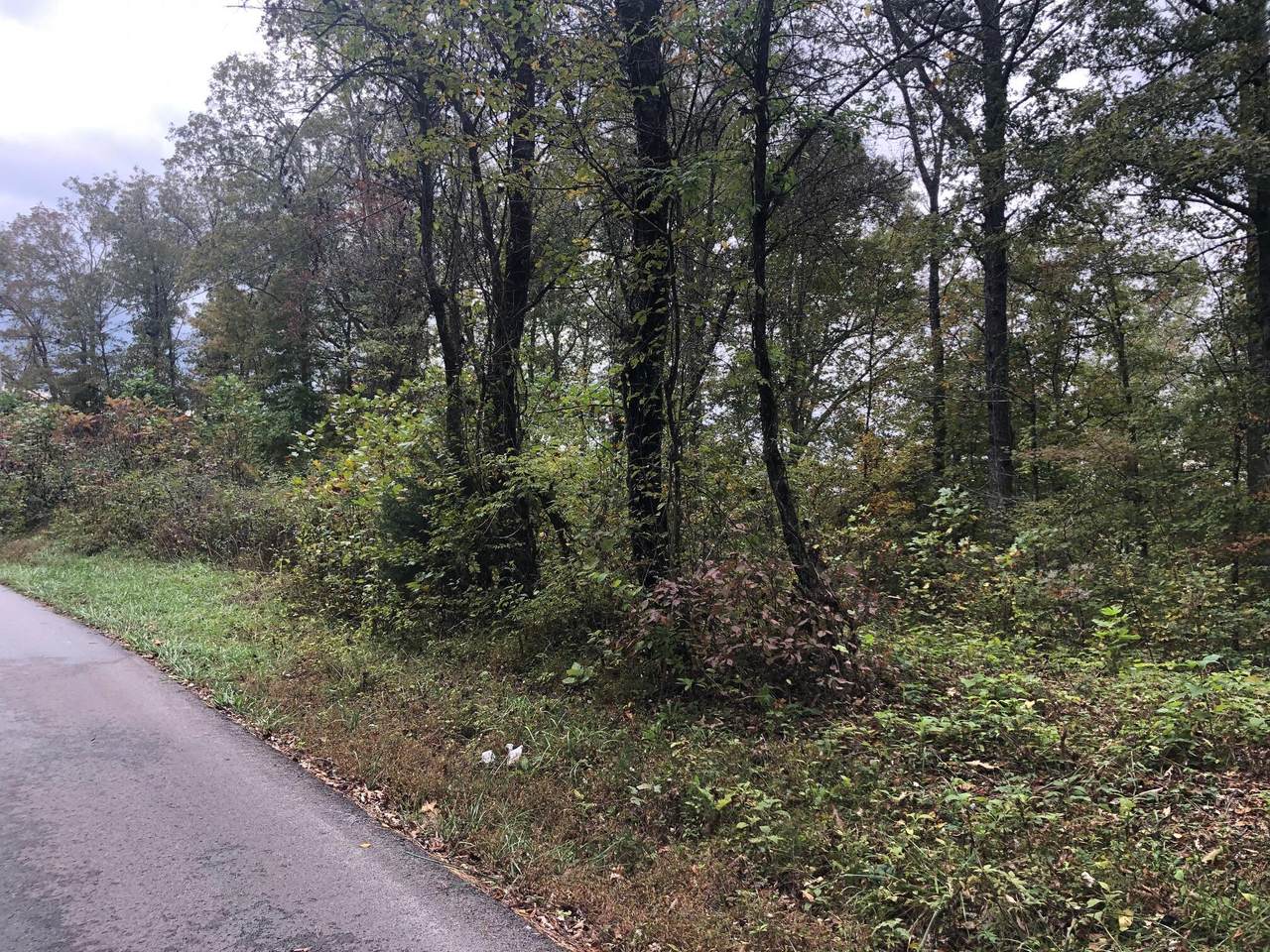 1111 State Hwy 700 Tract #1 - Photo 1