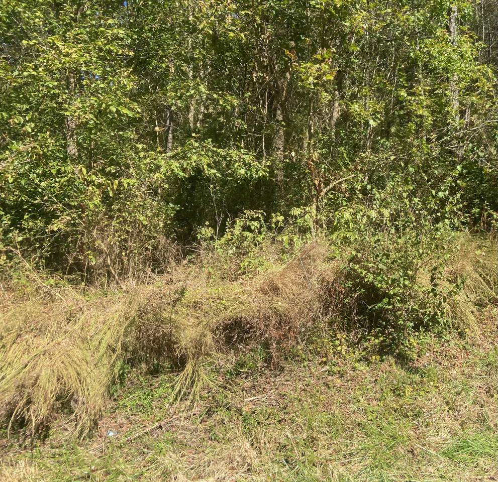 0 Snow Creek Road - Photo 1