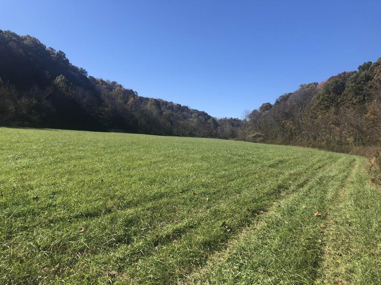 70 Rock Lick 70 Highway - Photo 1