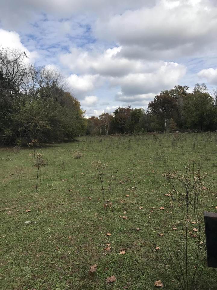 9999 Sugar Grove Rd - Photo 1