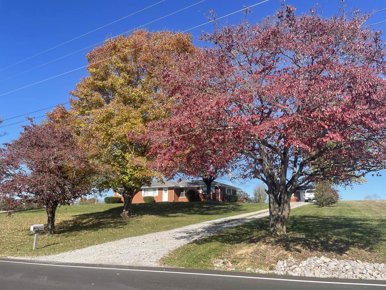 2166 Hwy 196 - Photo 1