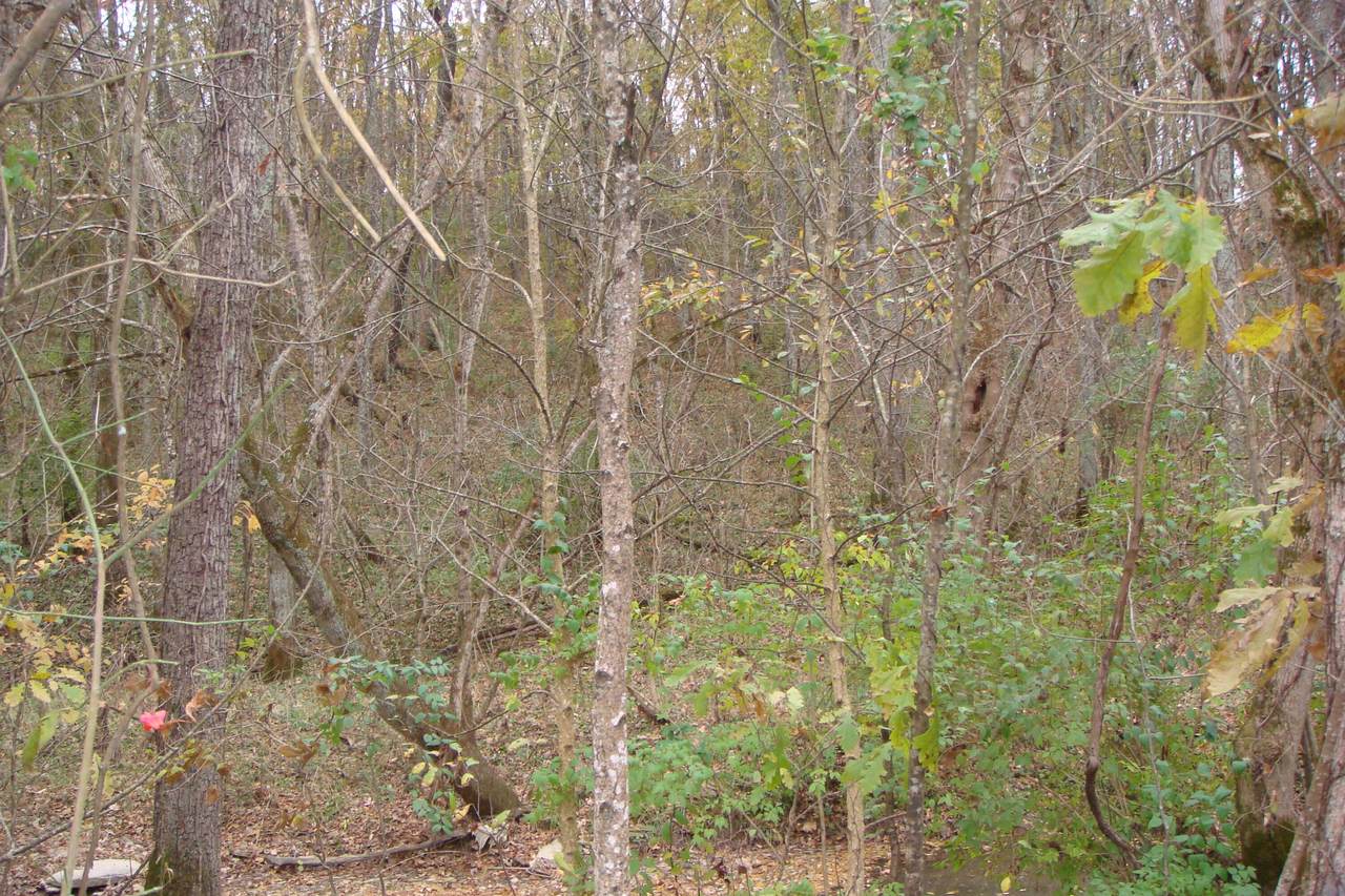 1 Peck's Pike - Photo 1