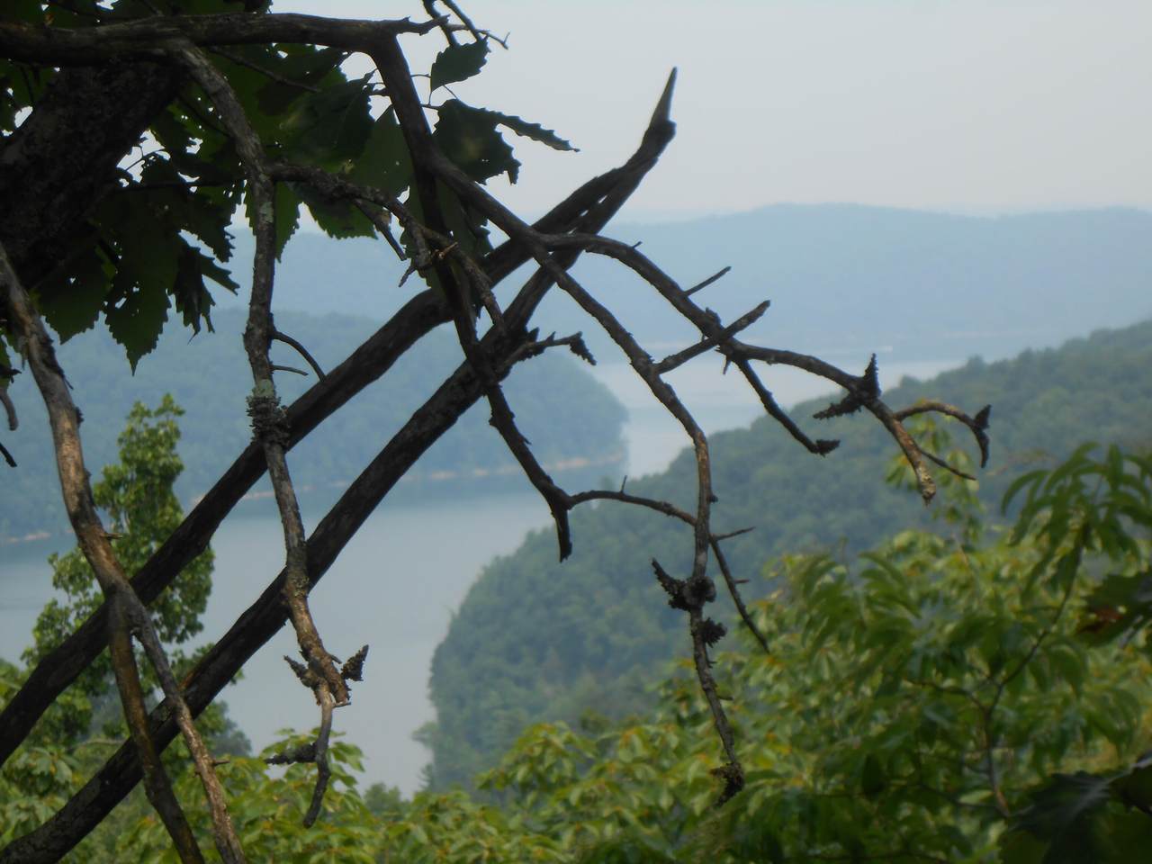 TBD Murder Branch - Photo 1