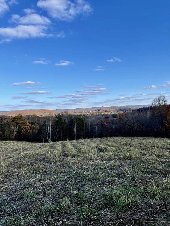 0000 Log Cabin Rd - Photo 1