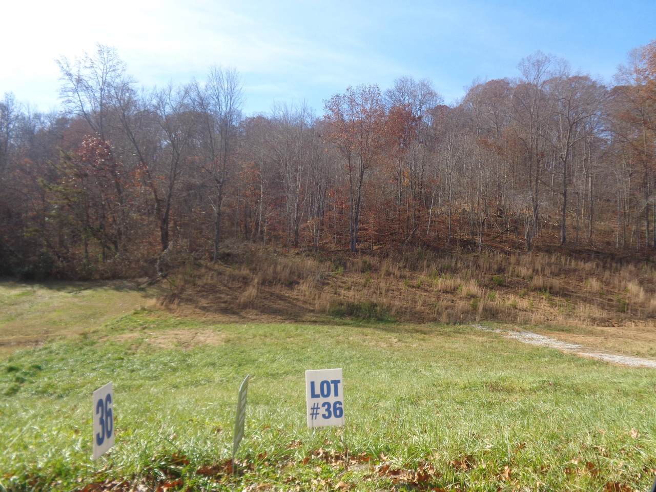 36-lot Freeman Branch Road - Photo 1