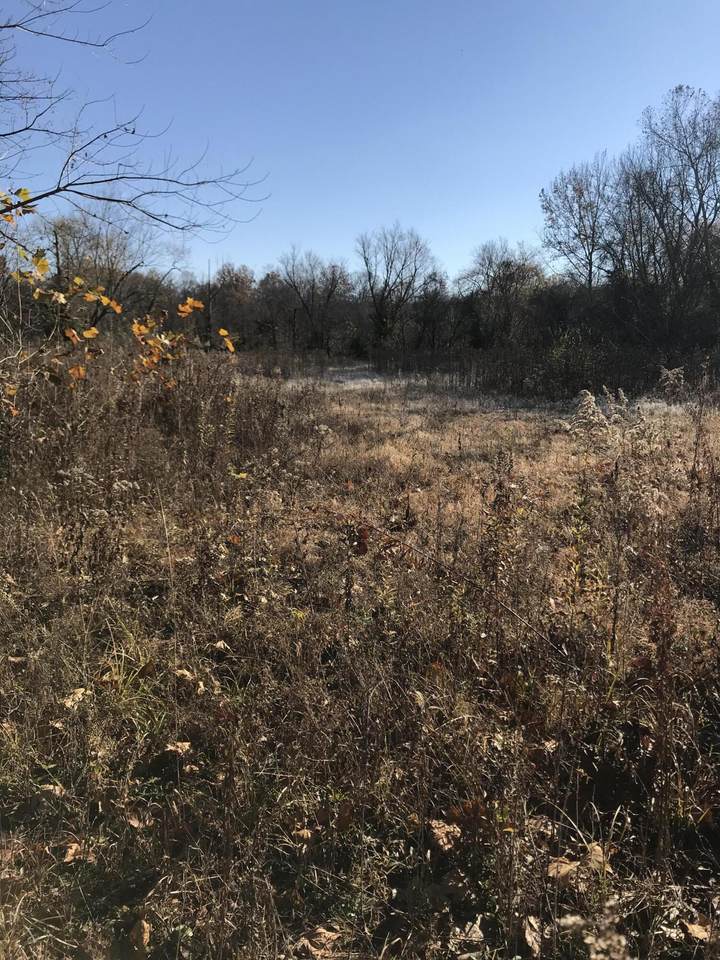 664 Old Lawrenceburg Road - Photo 1