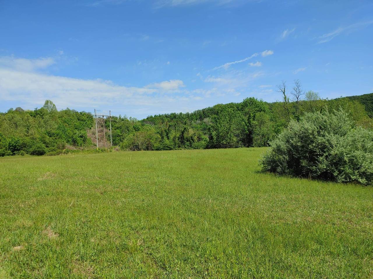 0 Lloyd Hollow Road - Photo 1