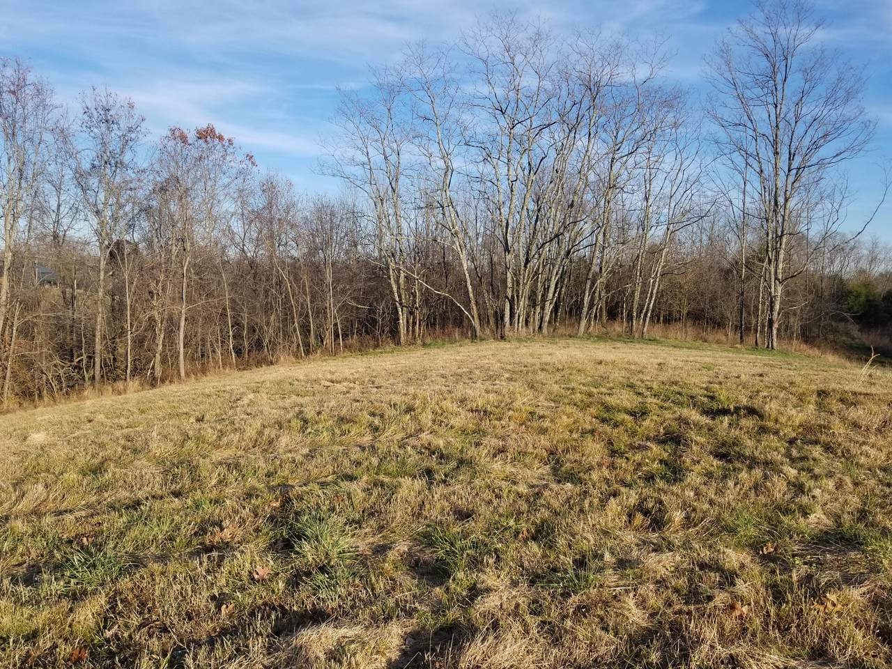 1041 Mays Road - Photo 1