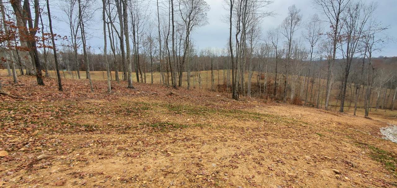 Lot 11 Falls Creek Way - Photo 1
