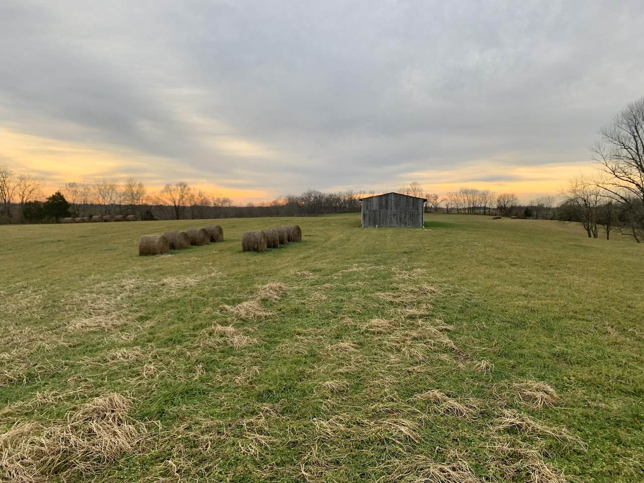 2542 Gillespie Pike - Photo 1