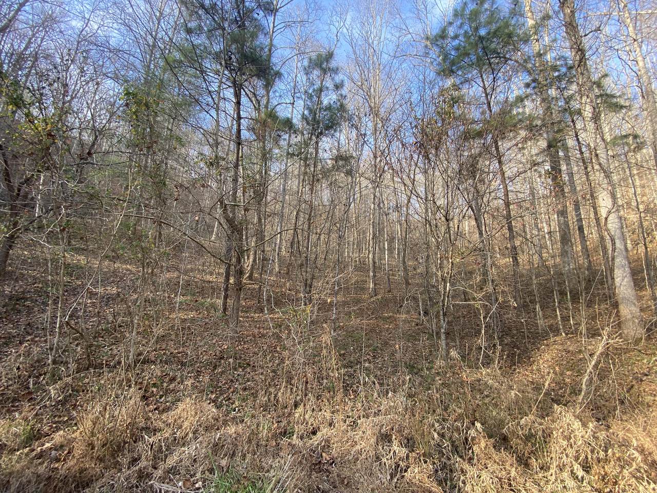 1001 Justice Drive - Photo 1