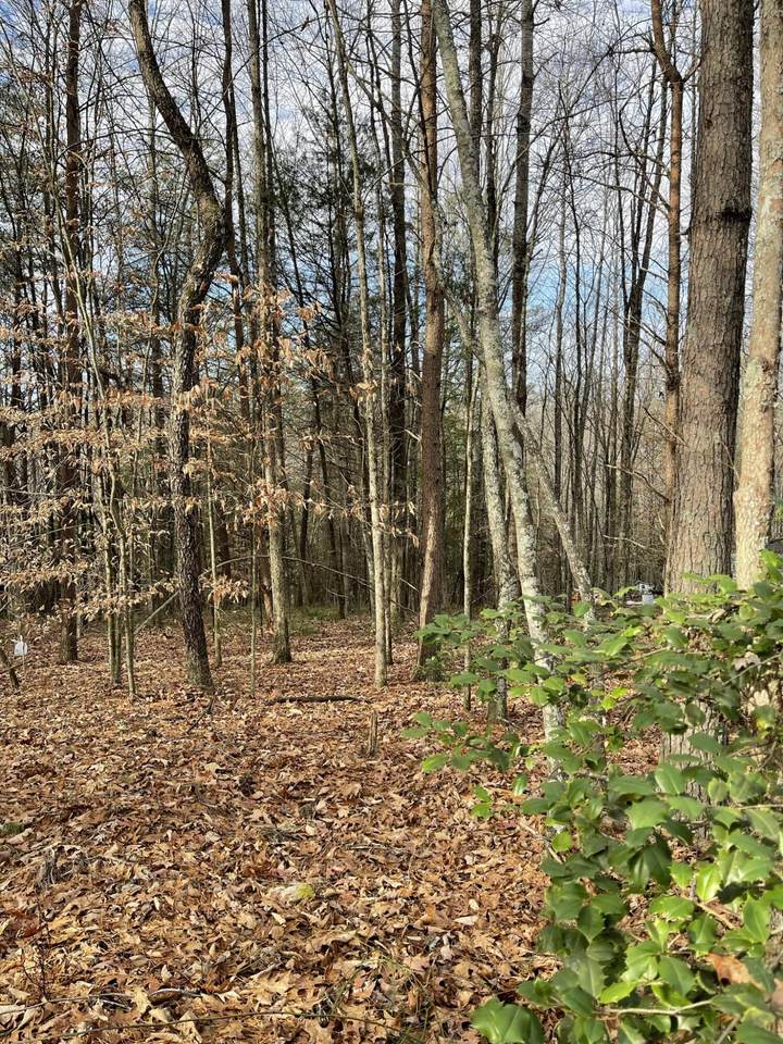0000 Old Mt. Zion Road Road - Photo 1