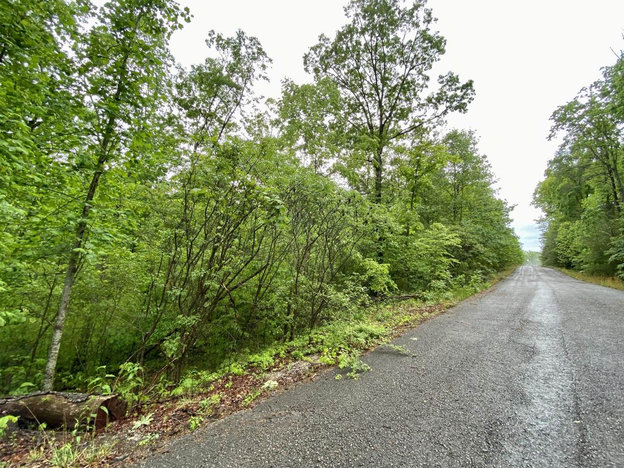 0 Boone Ridge Trail - Photo 1