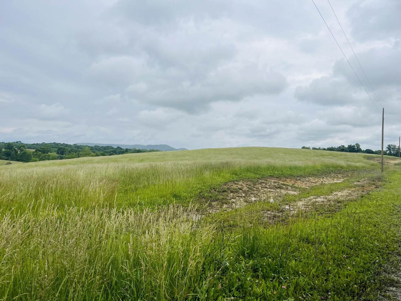 291 Tulip Poplar Lane - Photo 1