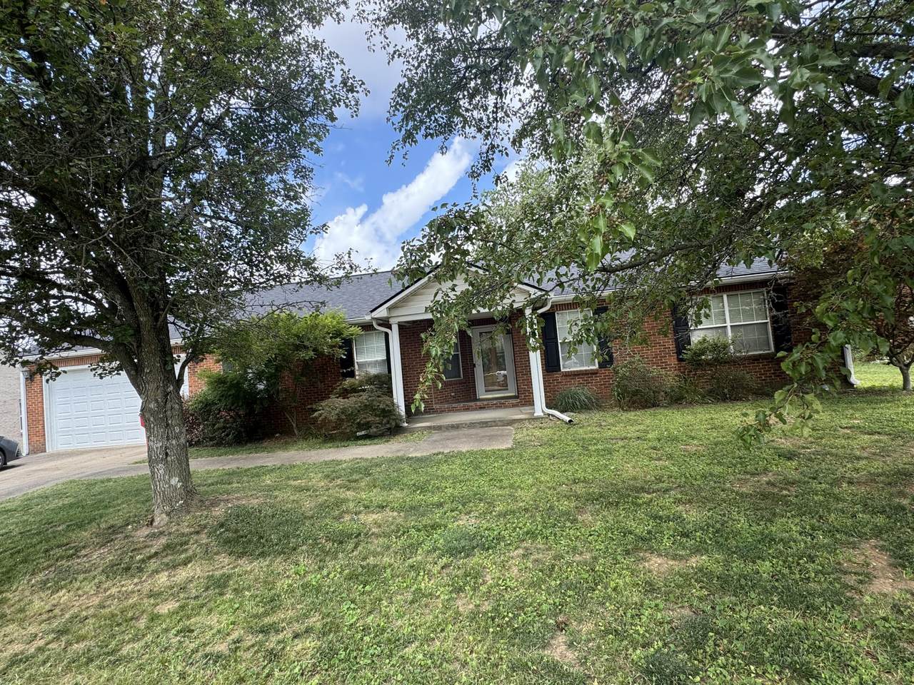 233 Savannah Drive - Photo 1