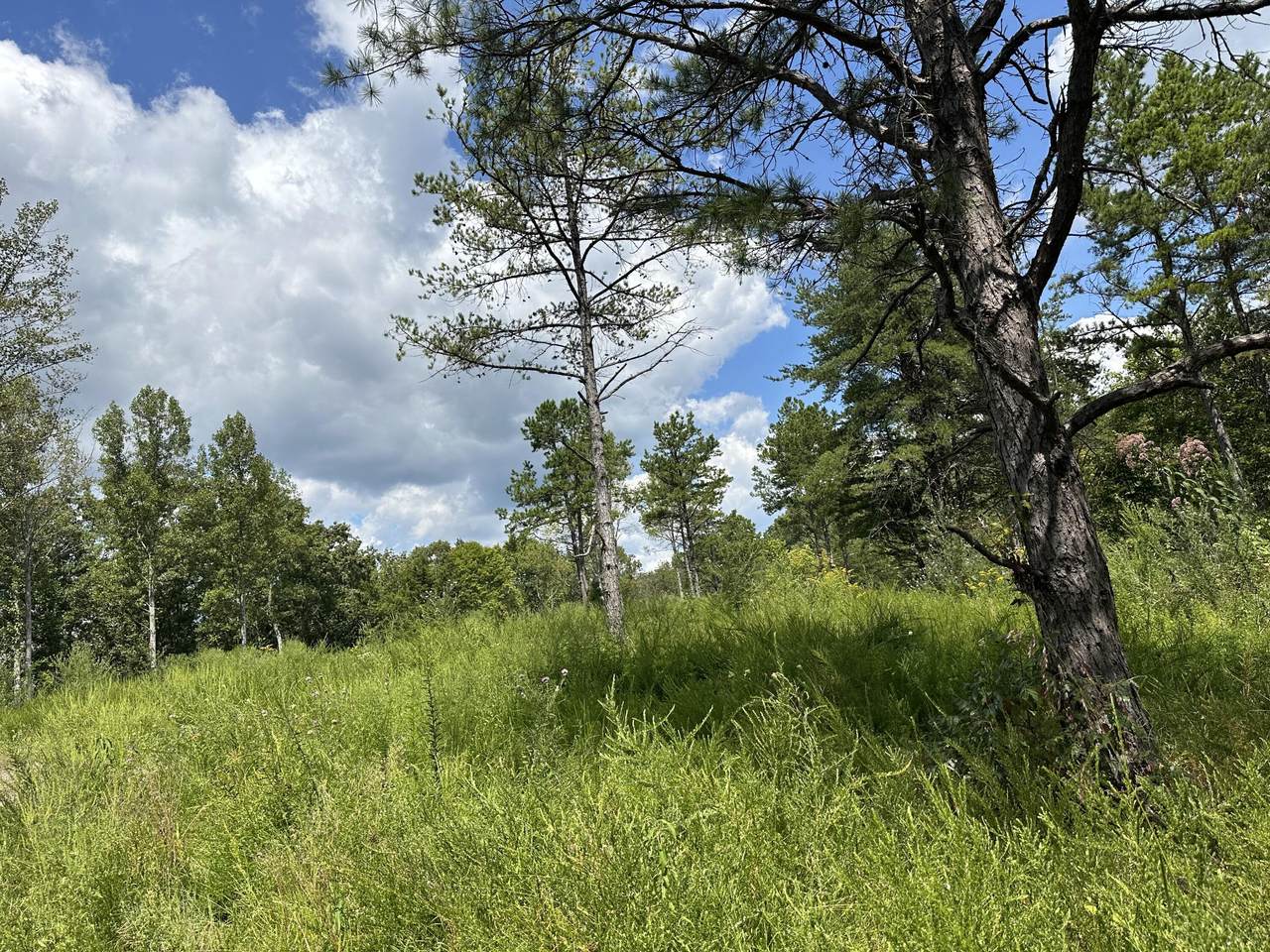 424-Tract 6 577 Highway - Photo 1