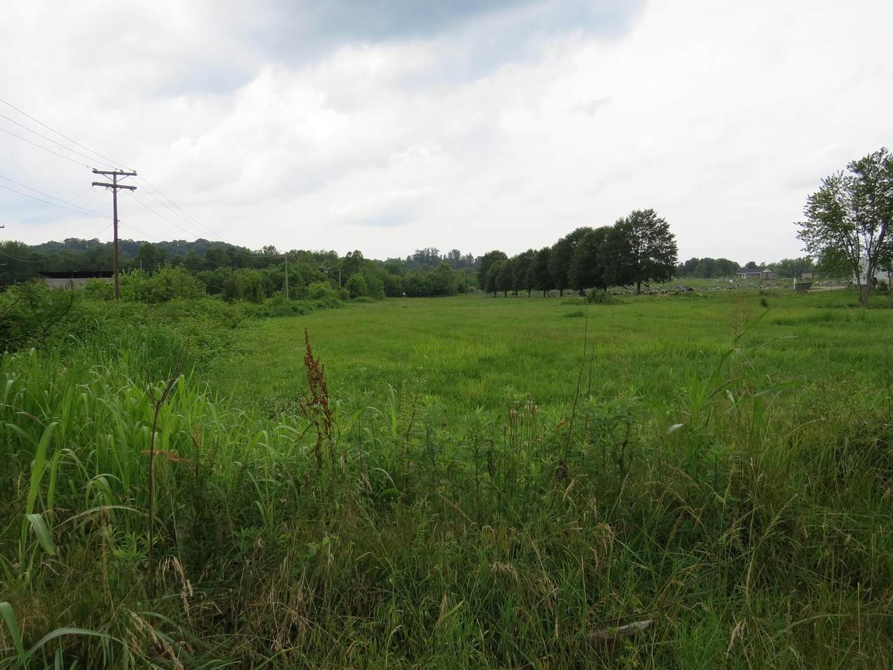 https://bt-photos.global.ssl.fastly.net/lexington/1280_boomver_1_20250729012806707503000000-2.jpg