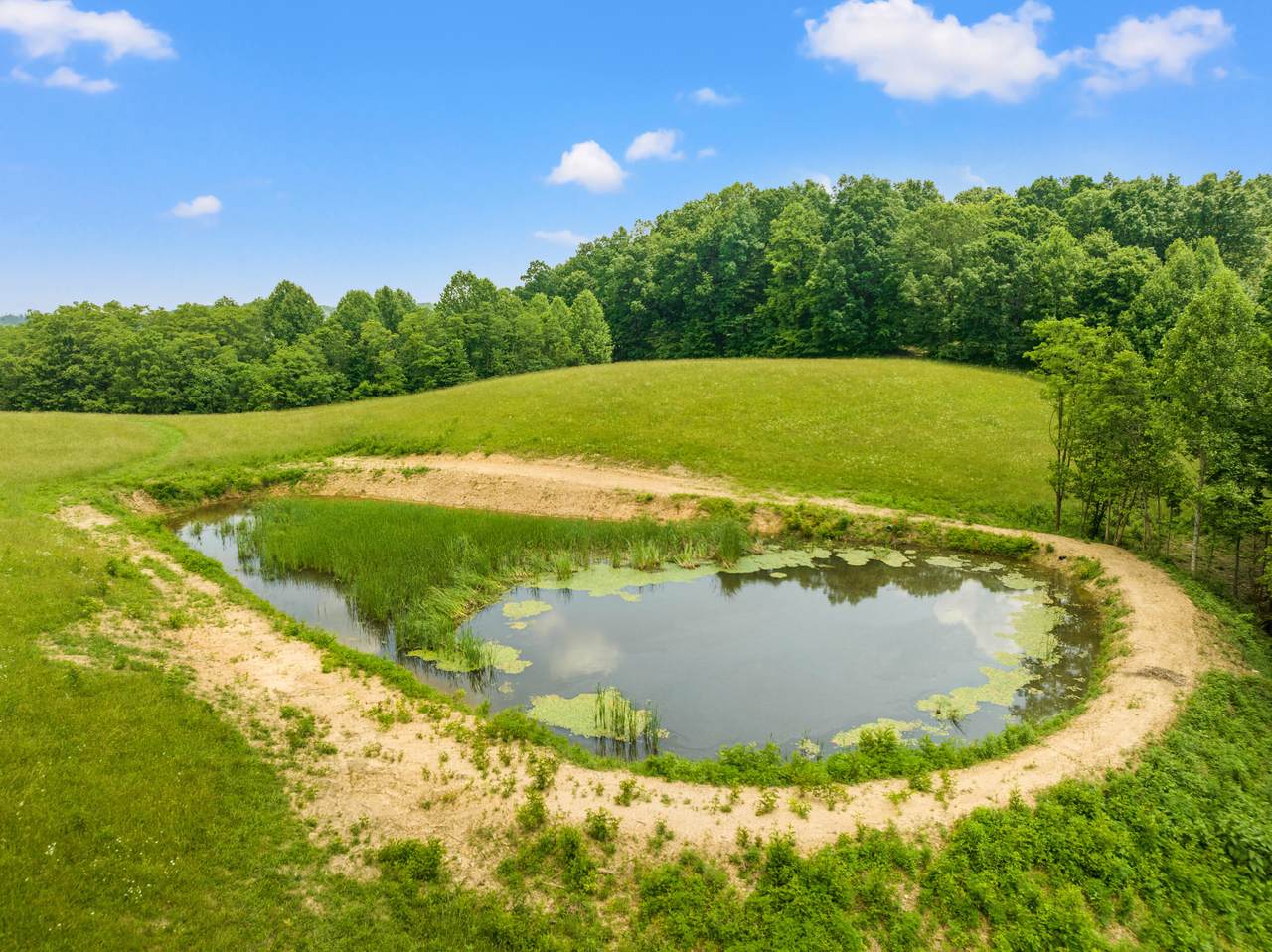 https://bt-photos.global.ssl.fastly.net/lexington/1280_boomver_1_20250729161240063649000000-2.jpg