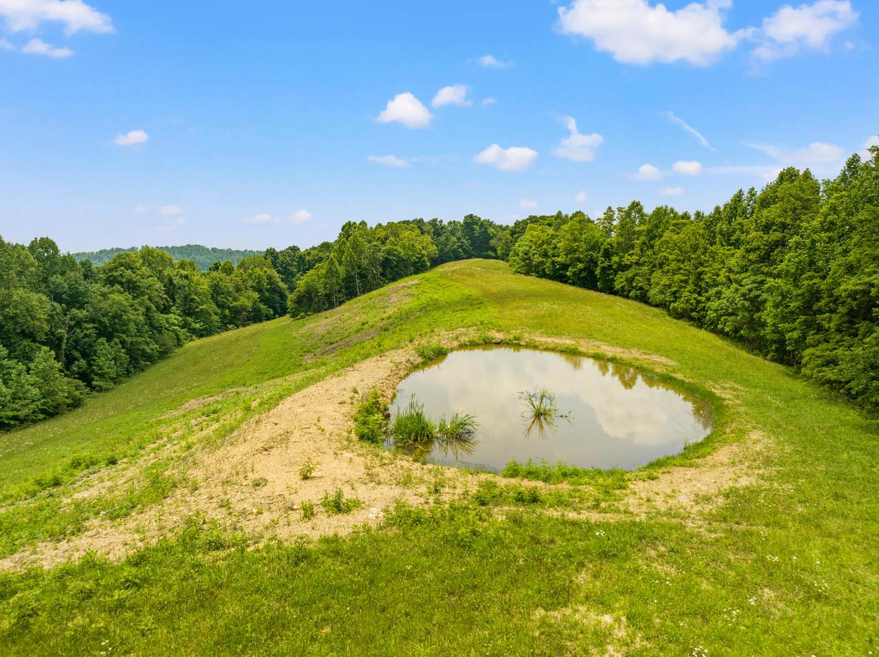 https://bt-photos.global.ssl.fastly.net/lexington/1280_boomver_1_20250729161240063649000000-2.jpg