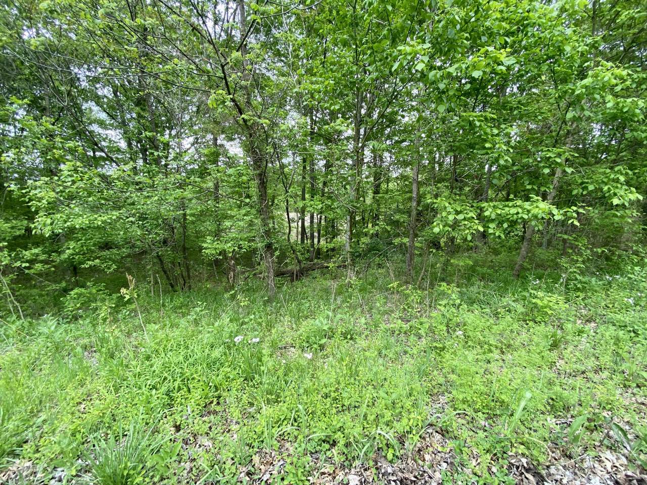 77 Lafayette Road - Photo 1
