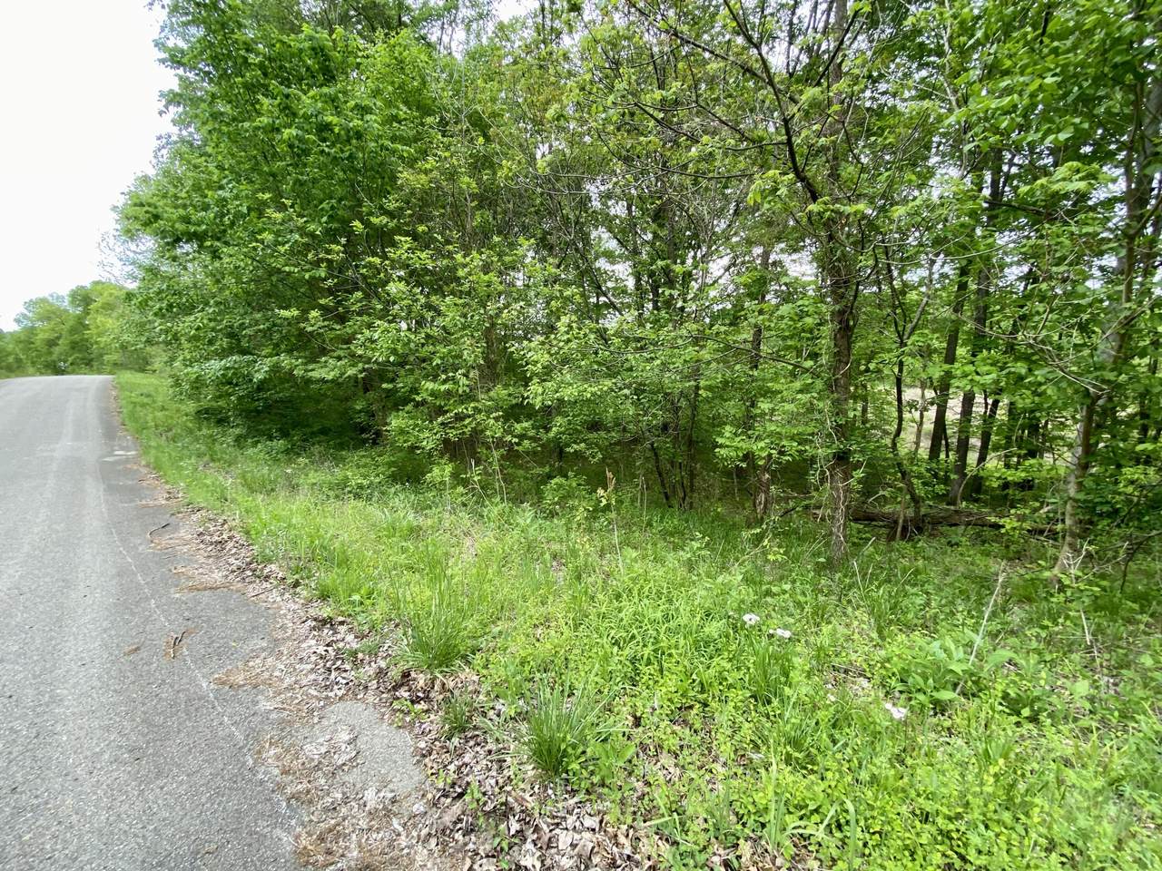https://bt-photos.global.ssl.fastly.net/lexington/1280_boomver_1_20250730091006220783000000-2.jpg