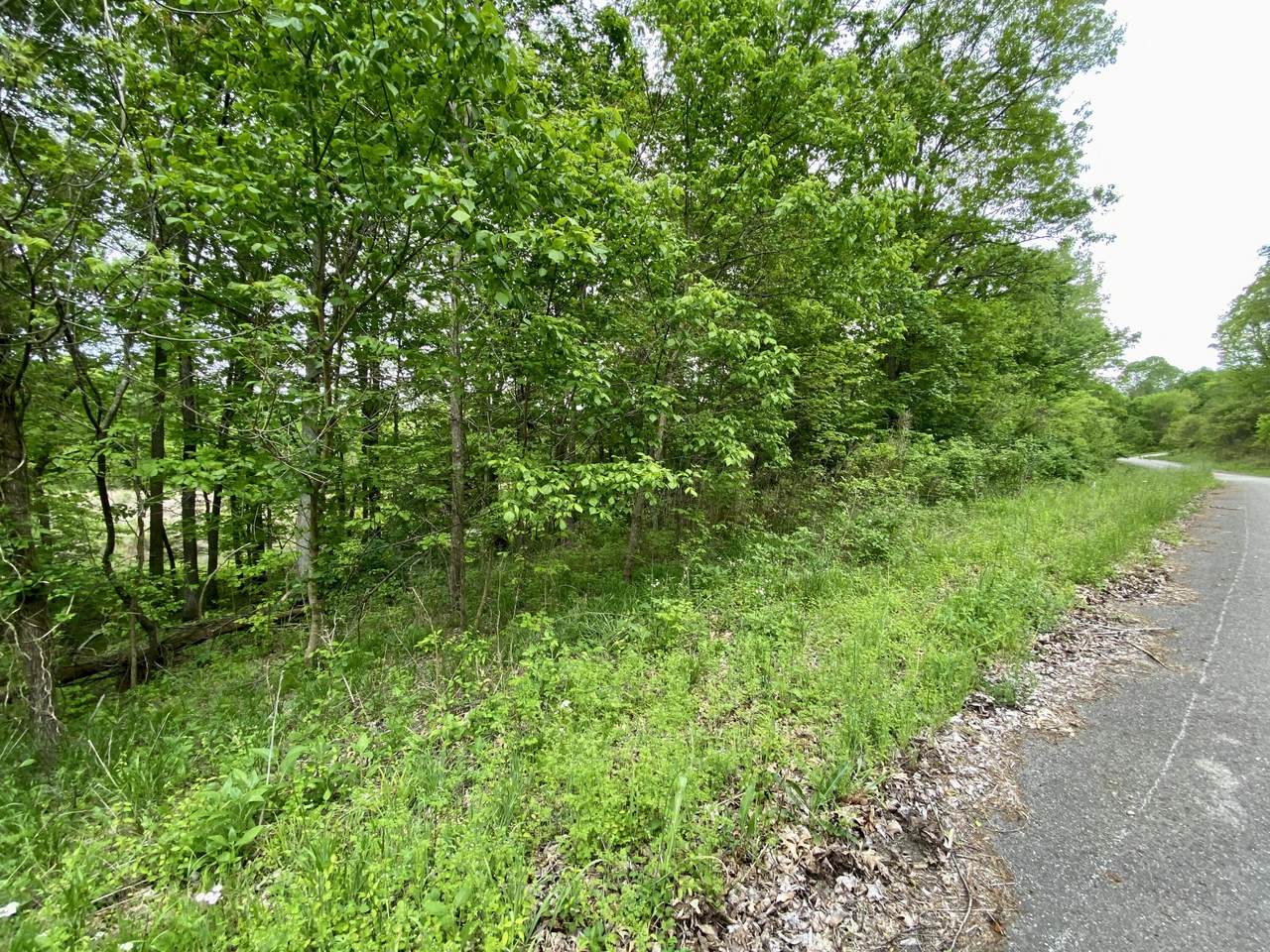 https://bt-photos.global.ssl.fastly.net/lexington/1280_boomver_1_20250730091006220783000000-2.jpg