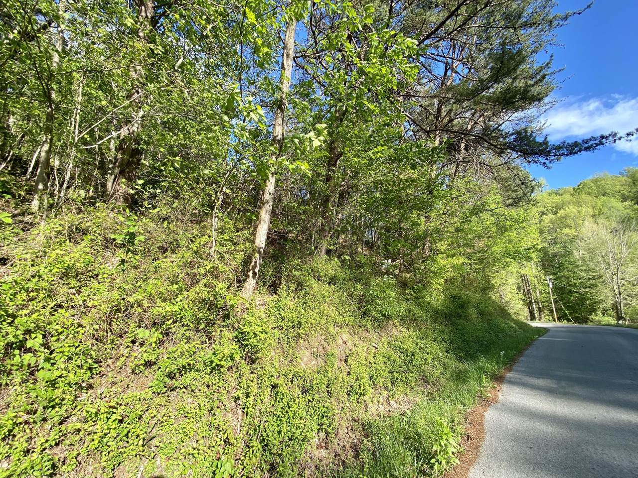 0 New Salem Road - Photo 1