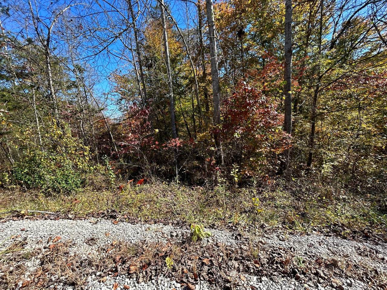 https://bt-photos.global.ssl.fastly.net/lexington/1280_boomver_1_20250730095730779253000000-2.jpg