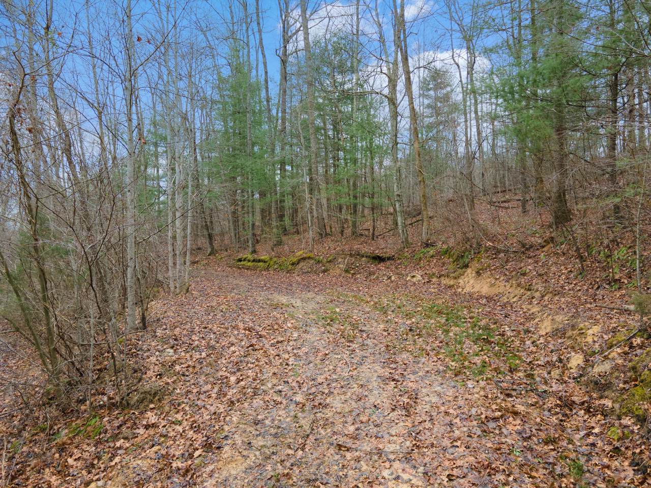 1537 High Rock Road - Photo 1