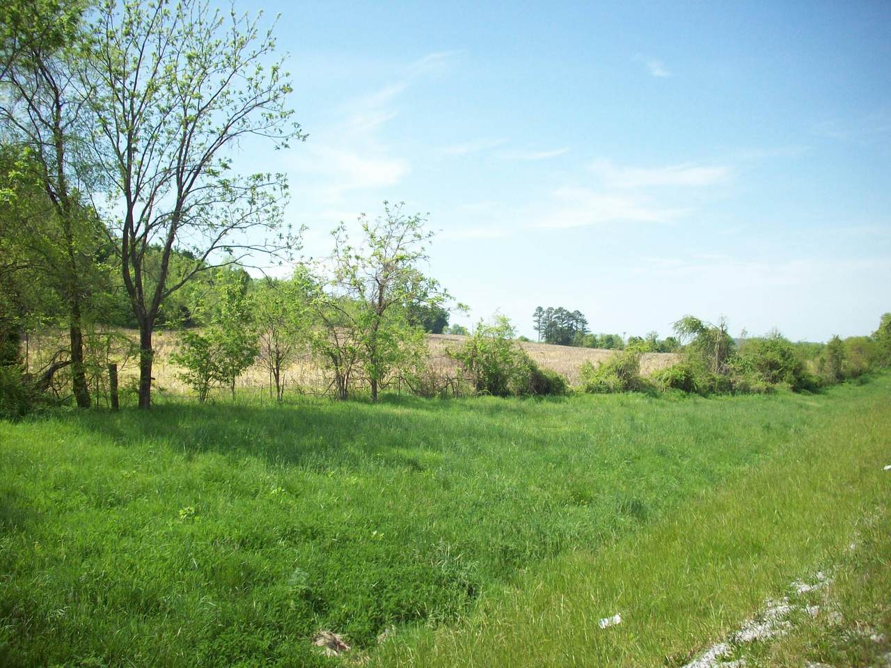 https://bt-photos.global.ssl.fastly.net/lexington/1280_boomver_1_20250730104115534619000000-2.jpg