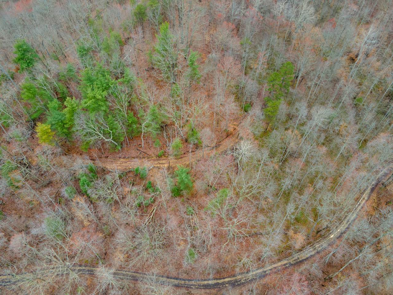 1737C High Rock Road - Photo 1